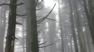 Το πιο δροσερό μέρος στην Εύβοια