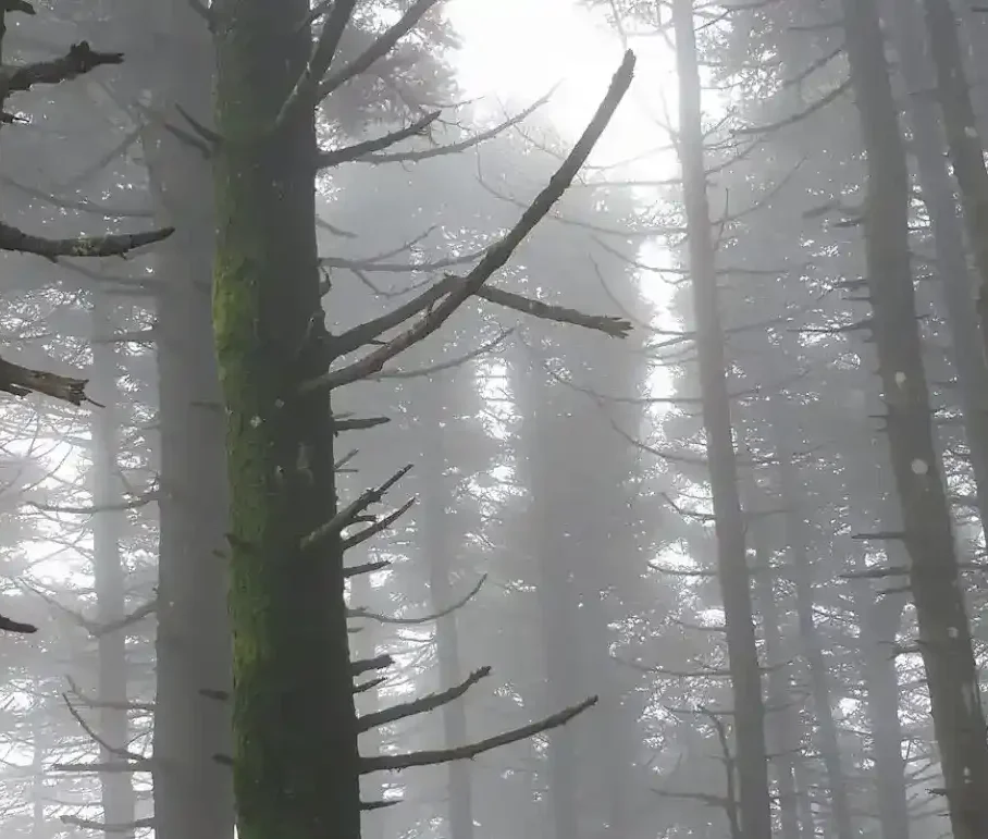 Το πιο δροσερό μέρος στην Εύβοια