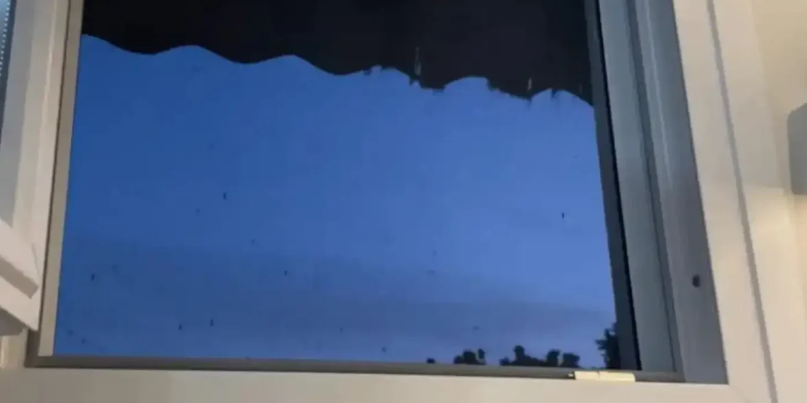 Πολλά κουνούπια σε 1 παράθυρο