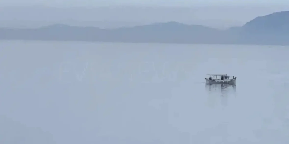 Και όμως υπάρχει ένα ψάρι στην Εύβοια που πρέπει να τρως τουλάχιστον δύο φορές την εβδομάδα