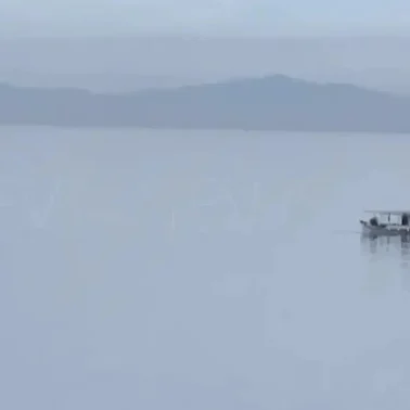 Και όμως υπάρχει ένα ψάρι στην Εύβοια που πρέπει να τρως τουλάχιστον δύο φορές την εβδομάδα