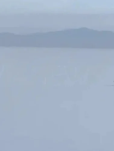 Και όμως υπάρχει ένα ψάρι στην Εύβοια που πρέπει να τρως τουλάχιστον δύο φορές την εβδομάδα