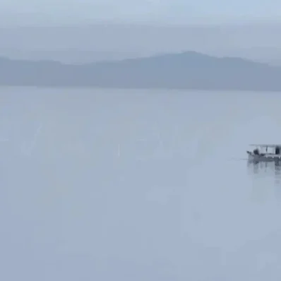 Και όμως υπάρχει ένα ψάρι στην Εύβοια που πρέπει να τρως τουλάχιστον δύο φορές την εβδομάδα