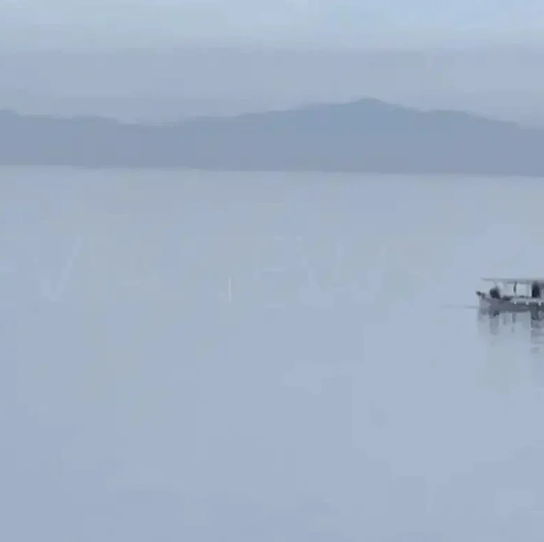 Και όμως υπάρχει ένα ψάρι στην Εύβοια που πρέπει να τρως τουλάχιστον δύο φορές την εβδομάδα