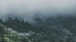 Εύβοια: Η στιγμή που φοβήθηκαν όλοι πάνω στο βουνό!