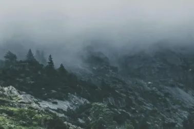 Εύβοια: Η στιγμή που φοβήθηκαν όλοι πάνω στο βουνό!