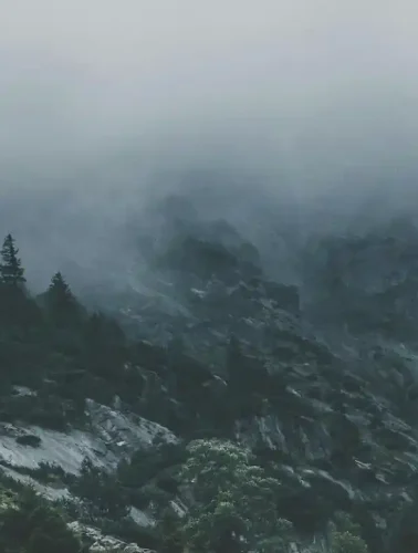 Εύβοια: Η στιγμή που φοβήθηκαν όλοι πάνω στο βουνό!