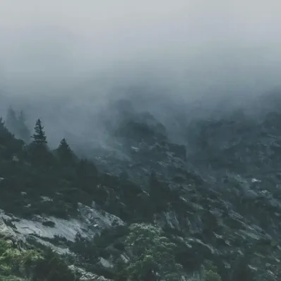 Εύβοια: Η στιγμή που φοβήθηκαν όλοι πάνω στο βουνό!