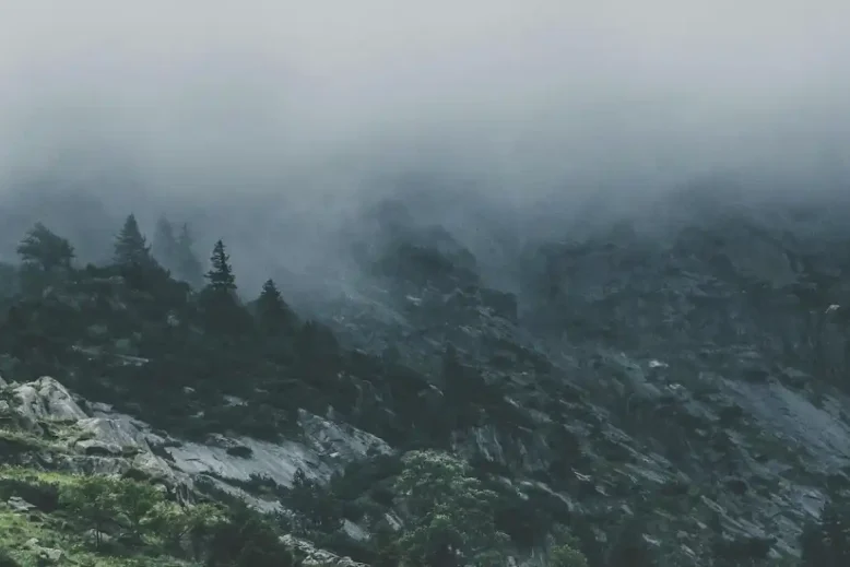 Εύβοια: Η στιγμή που φοβήθηκαν όλοι πάνω στο βουνό!