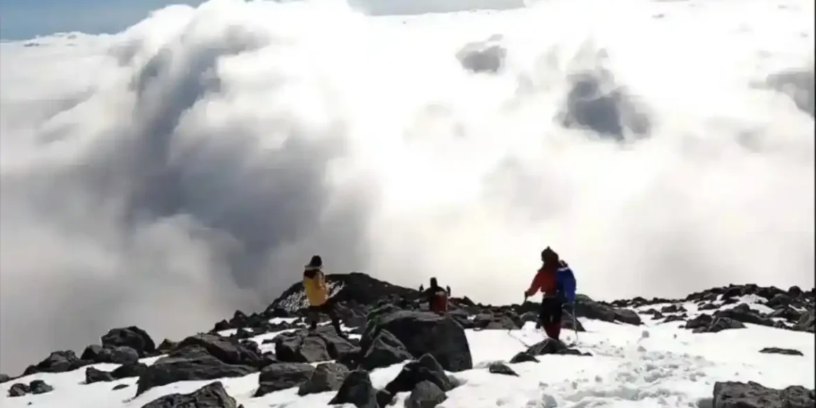 Εύβοια: Η στιγμή που φοβήθηκαν όλοι πάνω στο βουνό!