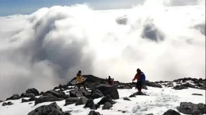 Εύβοια: Η στιγμή που φοβήθηκαν όλοι πάνω στο βουνό!