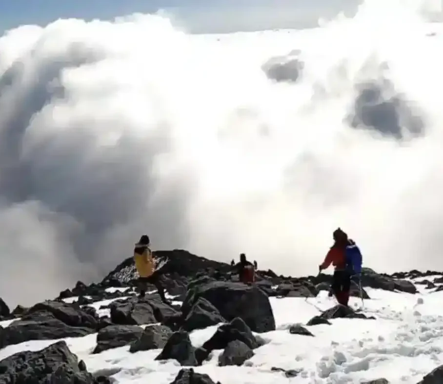 Εύβοια: Η στιγμή που φοβήθηκαν όλοι πάνω στο βουνό!