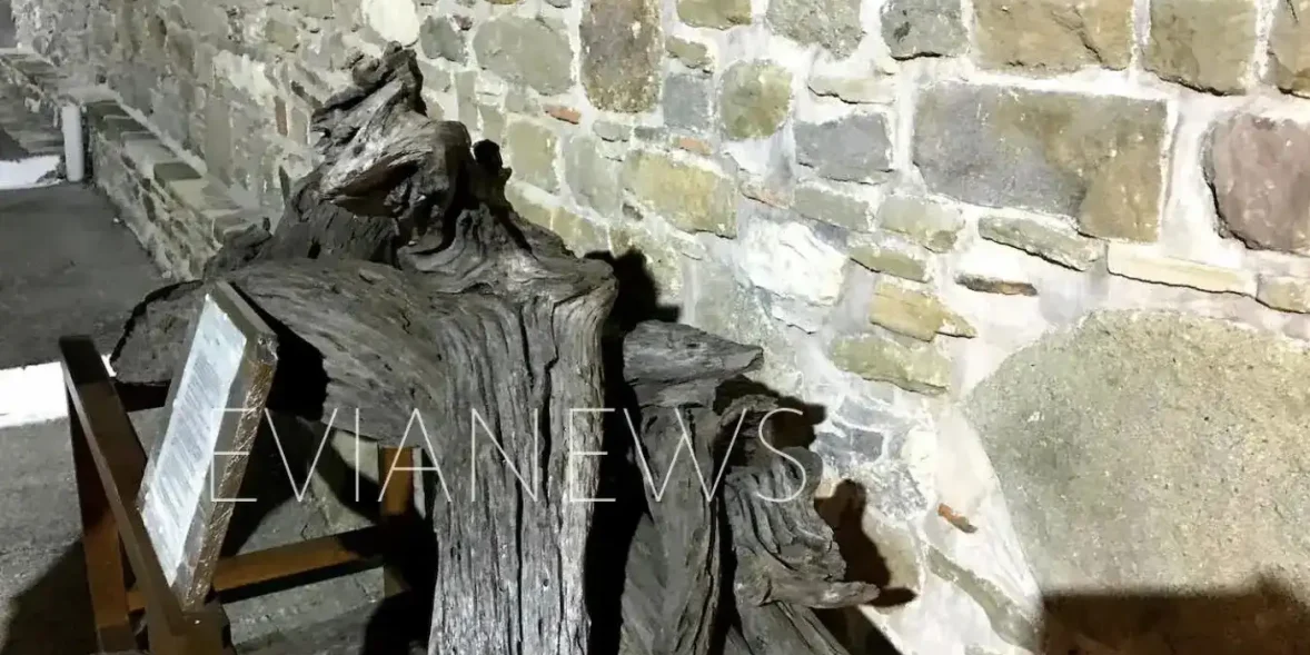 Δέντρο στην Εύβοια