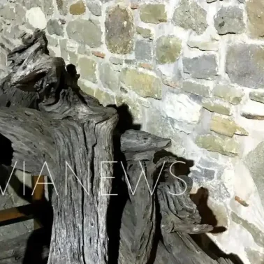 Δέντρο στην Εύβοια