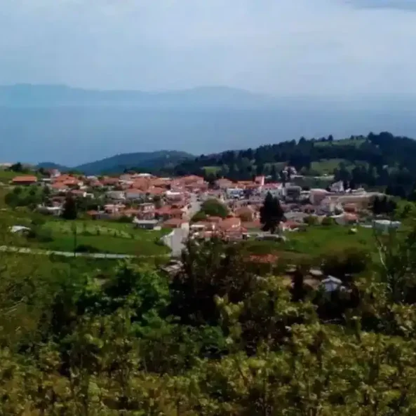 Είναι το ησυχαστήριο του καλοκαιριού ανάμεσα σε πεύκα και κύμα