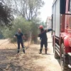 Εύβοια νέα και ειδήσεις