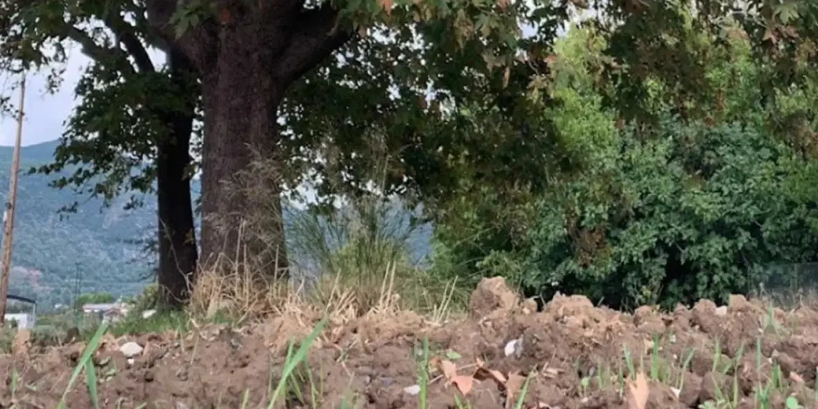 Αυλή σπιτιού στην Εύβοια