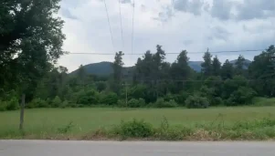 Δρόμος στην Εύβοια