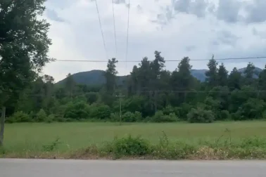 Δρόμος στην Εύβοια