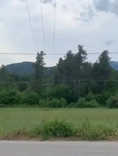 Δρόμος στην Εύβοια