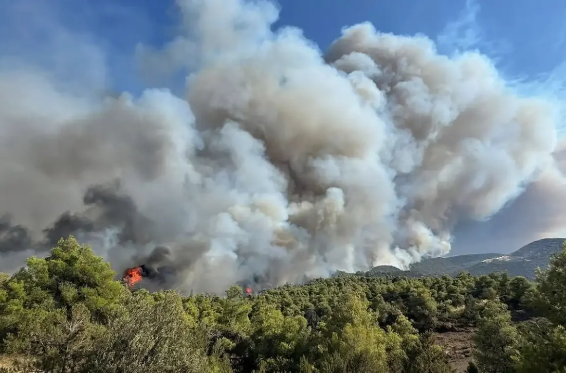 Φωτιά στην Εύβοια