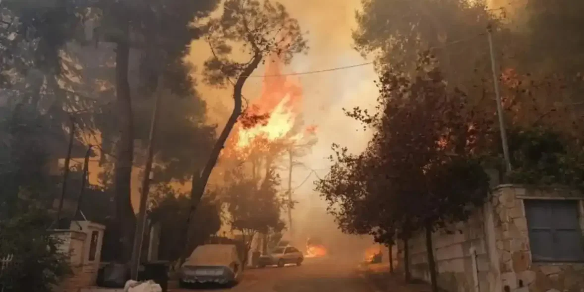 Φωτιά στην Εύβοια