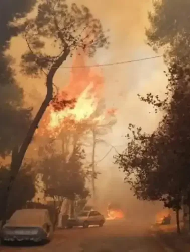 Φωτιά στην Εύβοια