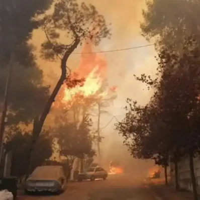 Φωτιά στην Εύβοια