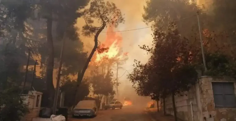 Φωτιά στην Εύβοια