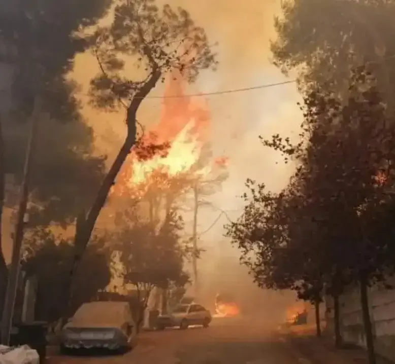 Φωτιά στην Εύβοια