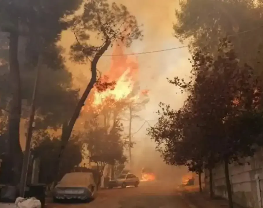 Φωτιά στην Εύβοια