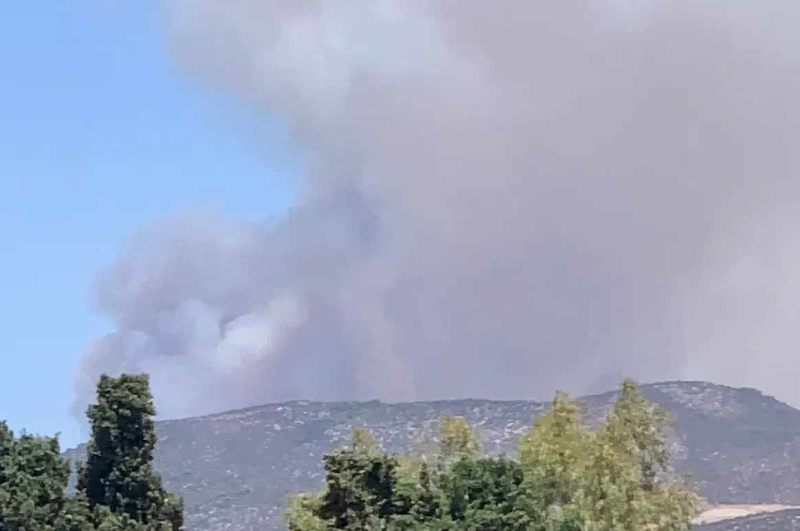 Φωτιά τώρα στην Εύβοια. Φωτιά τώρα σε δάσος της Εύβοιας