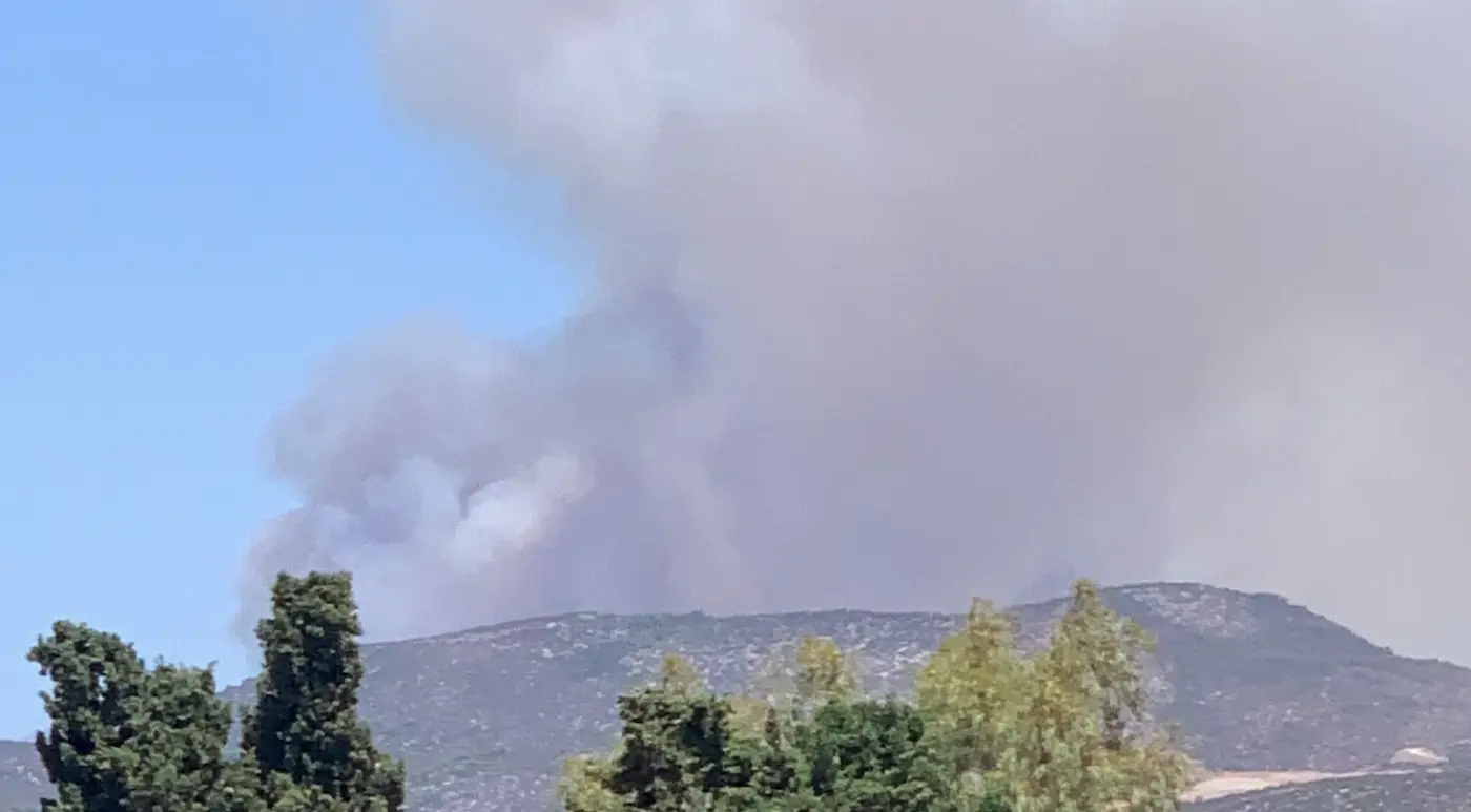 Φωτιά τώρα στην Εύβοια. Φωτιά τώρα σε δάσος της Εύβοιας