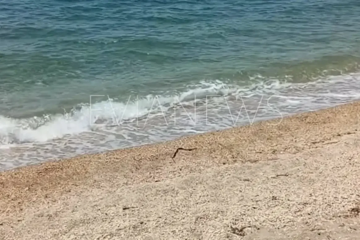 Μια μαύρη γραμμή στην αμμουδιά