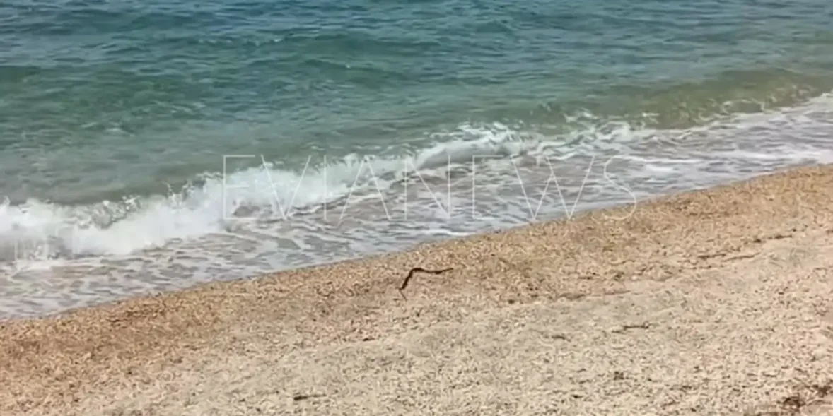 Μια μαύρη γραμμή στην αμμουδιά