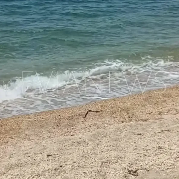 Μια μαύρη γραμμή στην αμμουδιά