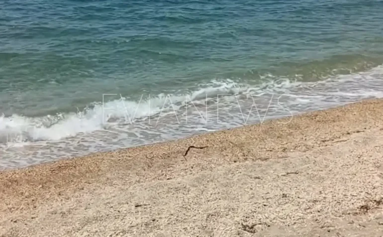 Μια μαύρη γραμμή στην αμμουδιά