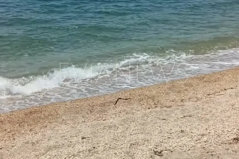 Μια μαύρη γραμμή στην αμμουδιά