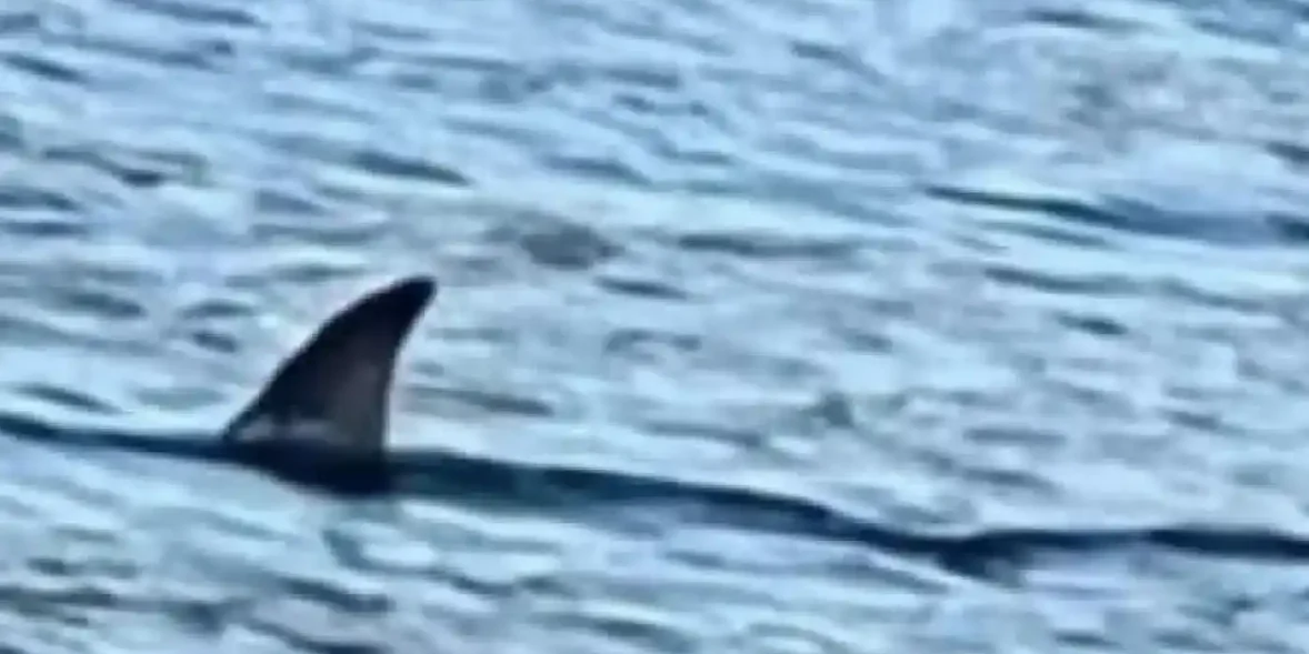 Τι ήταν αυτό που εμφανίστηκε στη Χαλκίδα;