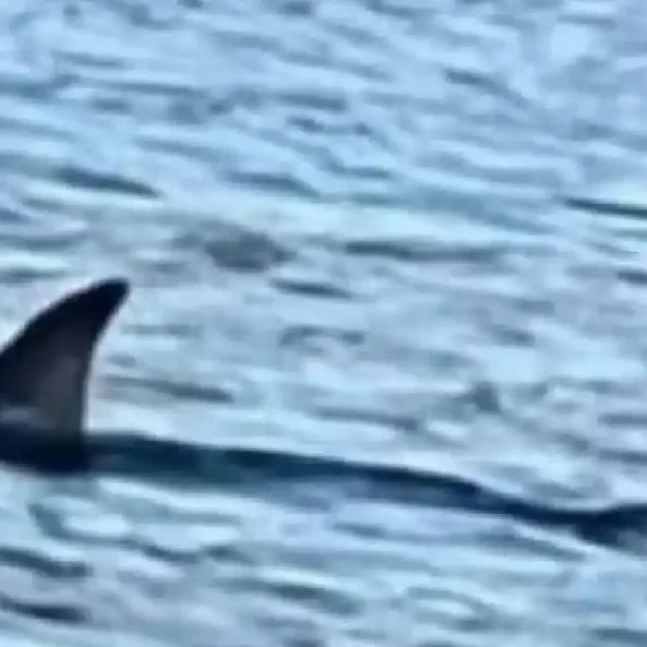 Τι ήταν αυτό που εμφανίστηκε στη Χαλκίδα;