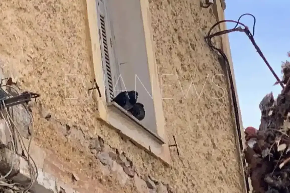 Το αθώο λάθος με τα παντζούρια που κάνουν πολλοί στην Εύβοια και κάνει τους διαρρήκτες να μπουκάρουν