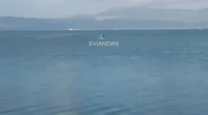 Ένα γιγάντιο ψάρι στην Εύβοια