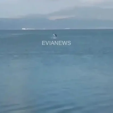 Ένα γιγάντιο ψάρι στην Εύβοια