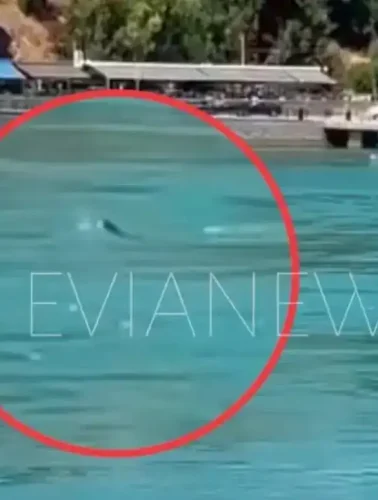 Ένα παράξενο κύμα εμφανίστηκε ξαφνικά στα νερά στην παραλία της Χαλκίδας, χωρίς να φυσάει, και χωρίς να έχει περάσει κάποιο καράβι