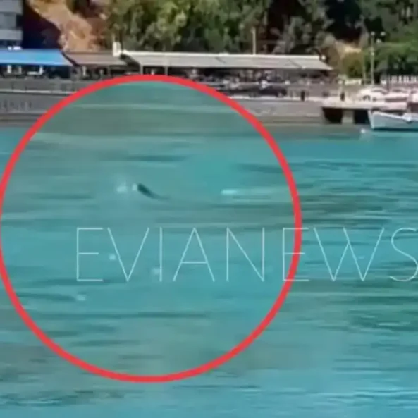 Ένα παράξενο κύμα εμφανίστηκε ξαφνικά στα νερά στην παραλία της Χαλκίδας, χωρίς να φυσάει, και χωρίς να έχει περάσει κάποιο καράβι