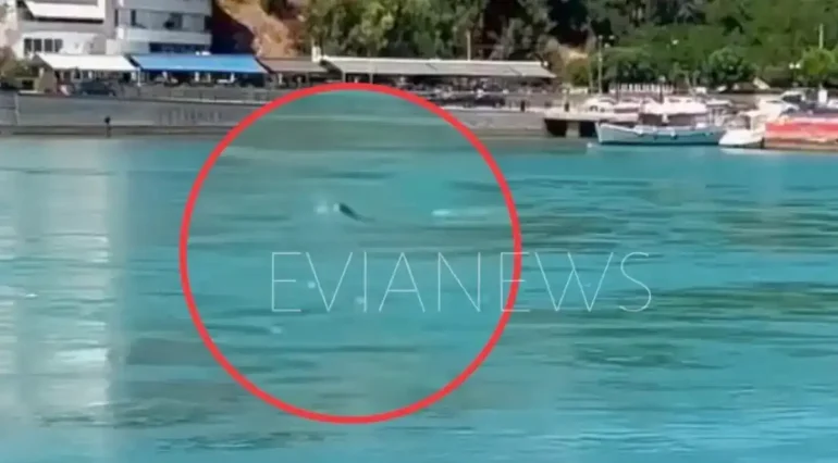 Ένα παράξενο κύμα εμφανίστηκε ξαφνικά στα νερά στην παραλία της Χαλκίδας, χωρίς να φυσάει, και χωρίς να έχει περάσει κάποιο καράβι