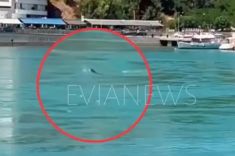 Ένα παράξενο κύμα εμφανίστηκε ξαφνικά στα νερά στην παραλία της Χαλκίδας, χωρίς να φυσάει, και χωρίς να έχει περάσει κάποιο καράβι