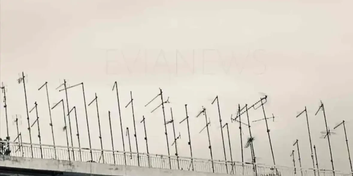 Κεραίες τηλεόρασης – σειρά IQ 160, ηθοποιοί και πληροφορίες