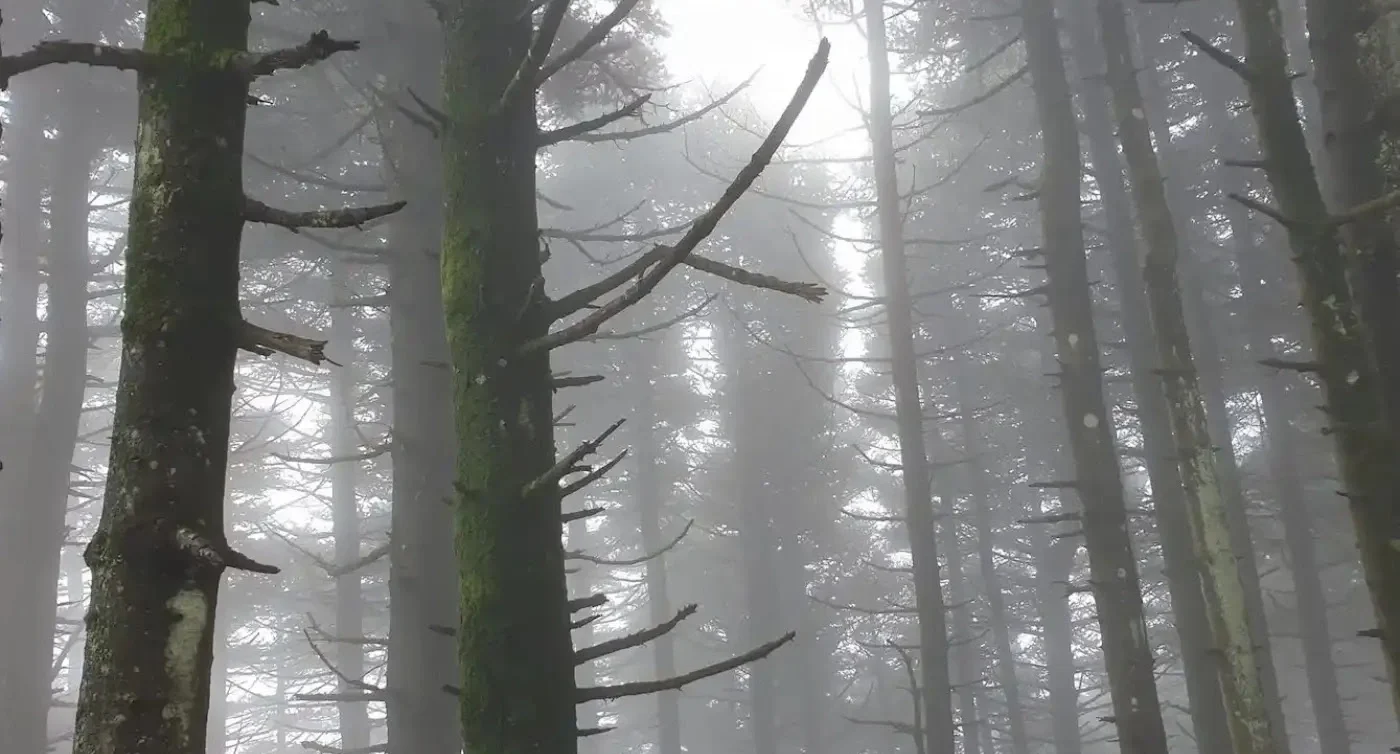 Βουνό της Εύβοιας