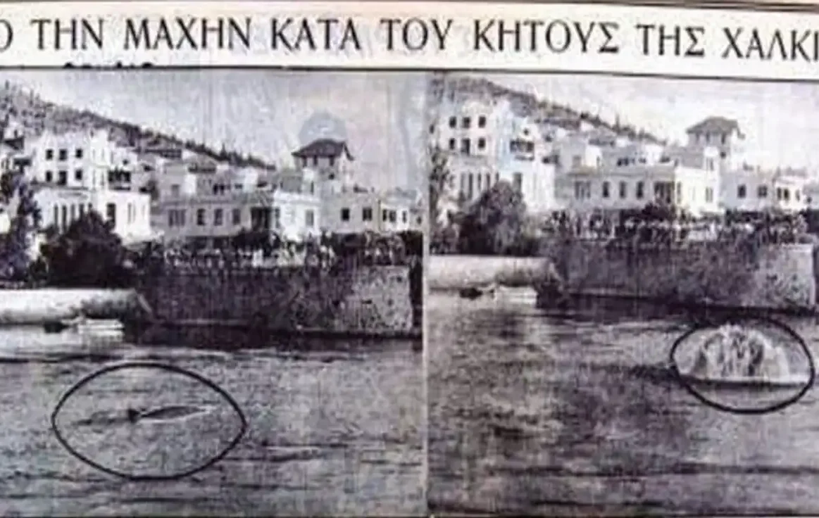 Ένα τέρας στην παραλία της Χαλκίδας